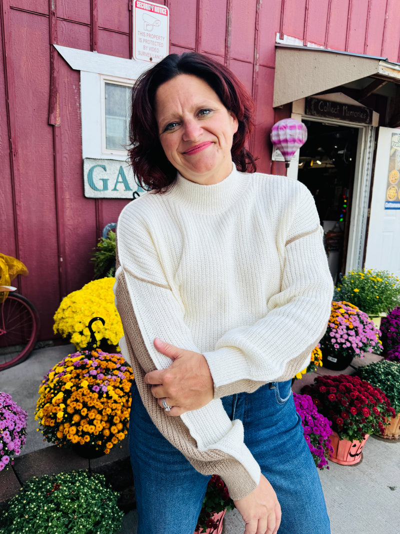 Spiked Cider Colorblock Mock Neck Sweater