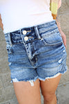 Petra LA High Rise Stretch Destroy Shorts w/ Frayed Hem