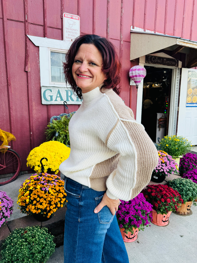 Spiked Cider Colorblock Mock Neck Sweater