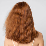 Repairing Argan Oil Conditioner